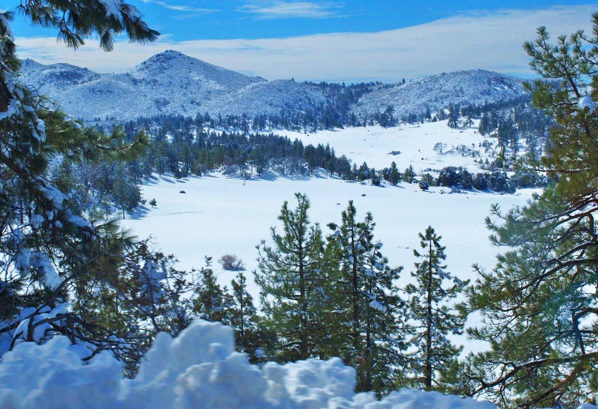 Mount Laguna East County Magazine